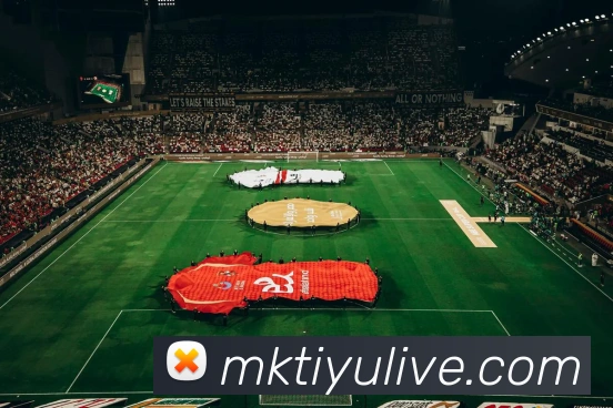 App Interface Preview