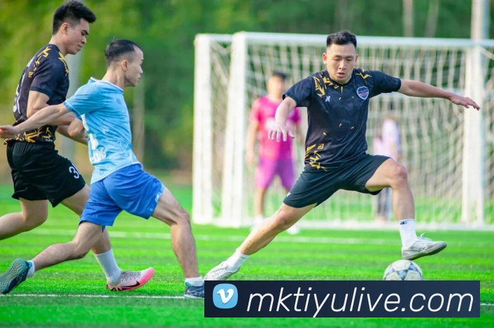 MK体育APP 封面图