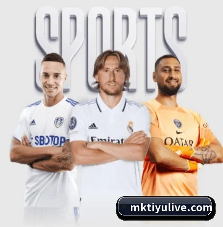 MK体育 APP 界面 | MKSPORTS
