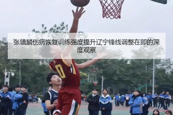 张镇麟伤病恢复训练强度提升辽宁锋线调整在即的深度观察 - mksports